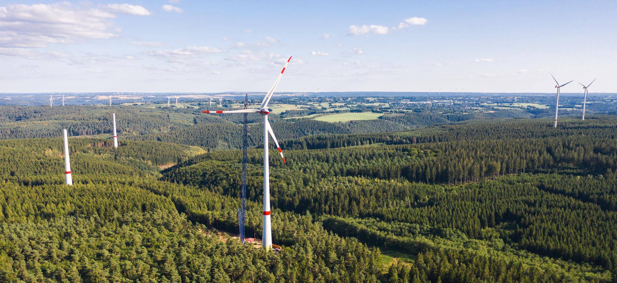 Firmy energetyczne w Polsce ranking 2026 które zaskakują swoją pozycją